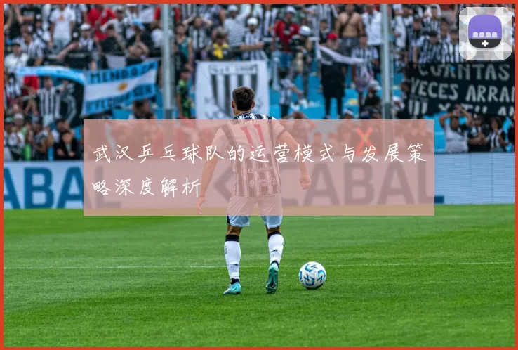 武汉乒乓球队的运营模式与发展策略深度解析