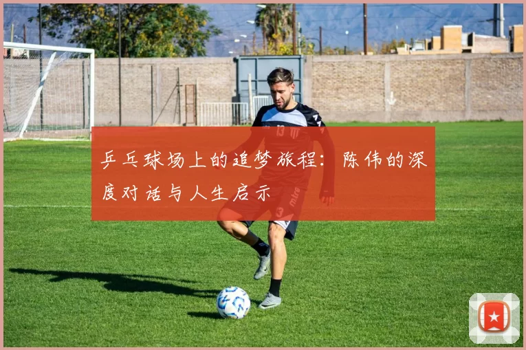 乒乓球场上的追梦旅程：陈伟的深度对话与人生启示