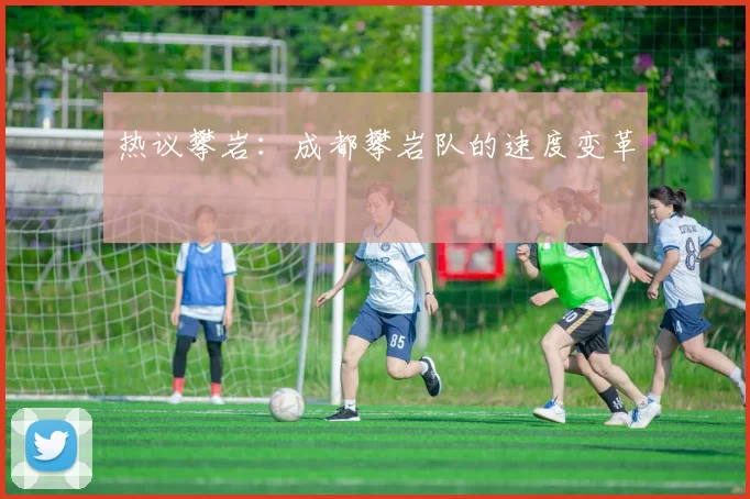 热议攀岩：成都攀岩队的速度变革