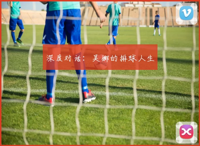 深度对话：吴娜的排球人生