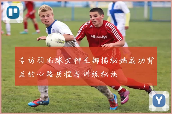 专访羽毛球女神王娜揭秘她成功背后的心路历程与训练秘诀