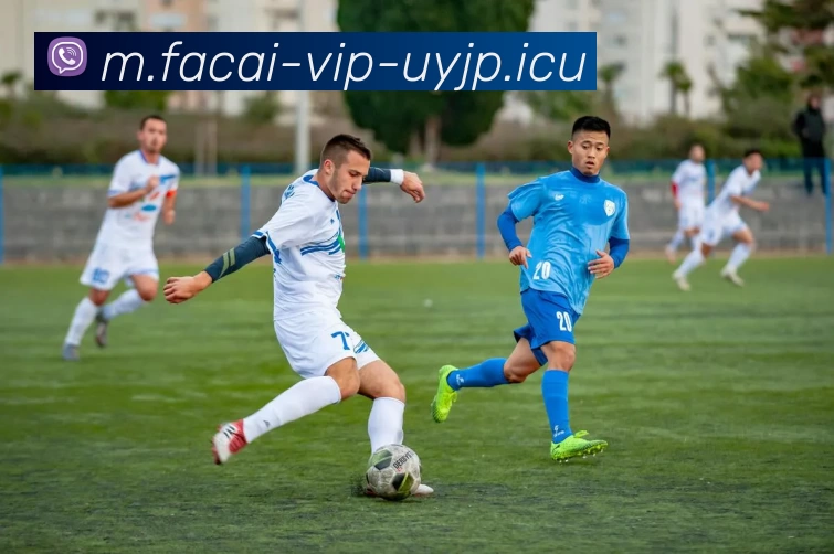 赛后复盘：武汉排球队 vs 杭州排球队的耐力